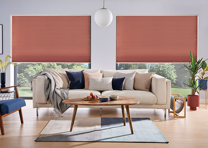 pleated blinds in living room